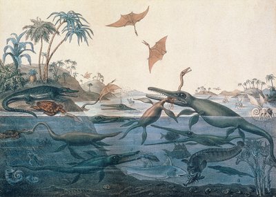 Duria antiquior (Ancient Dorset), an imaginative reconstruction of the life of the Jurassic seas (engraved by George Scharf, printed by Charles Joseph Hullmandel) by Henry Thomas De La Beche
